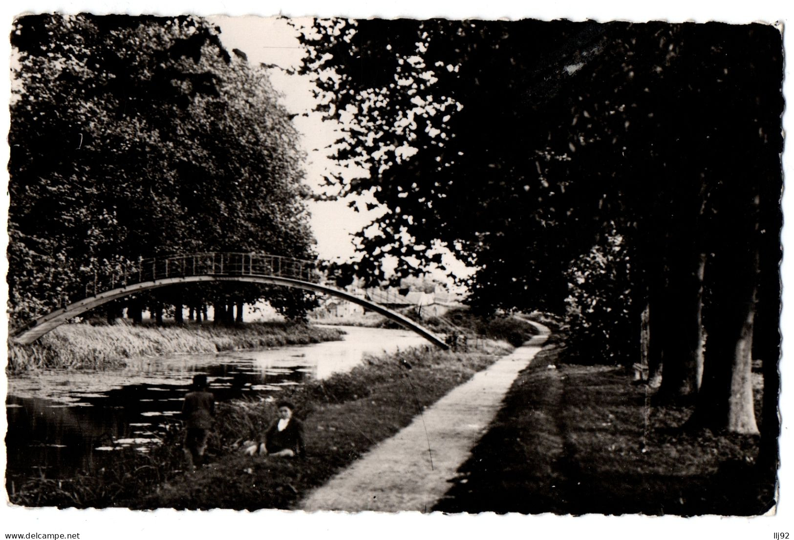 CPSM PF 45 - BRIARE (Loiret) - Promenade Du Martinet - Briare