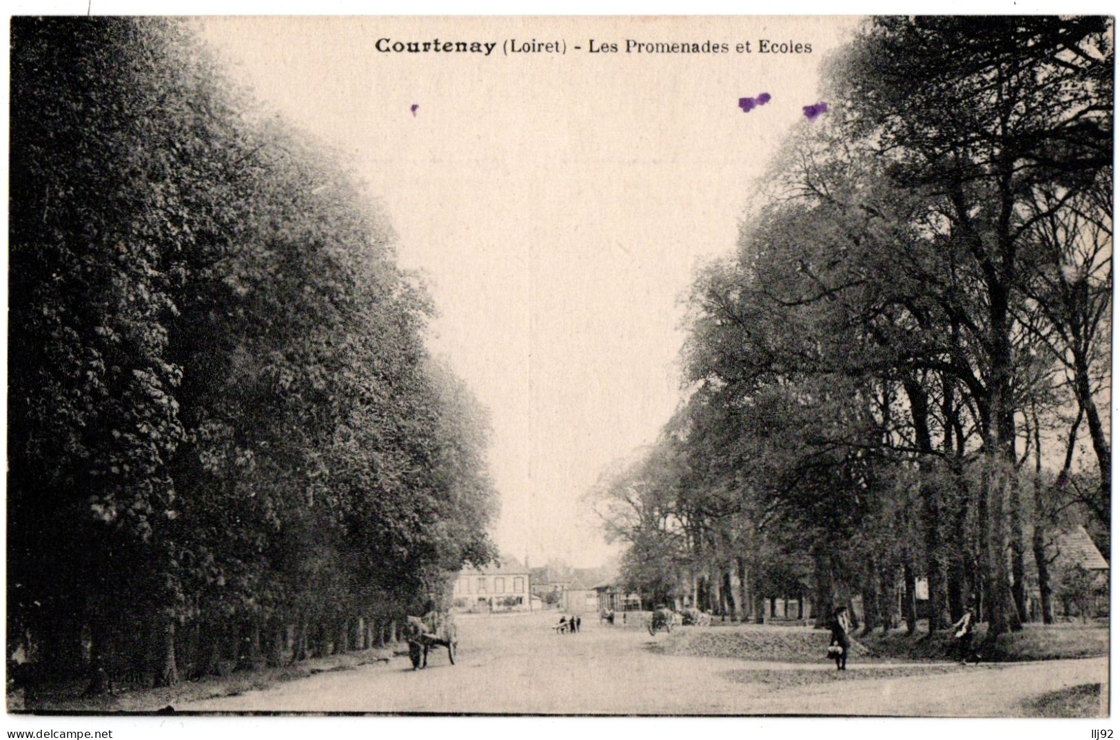 CPA 45 - COURTENAY (Loiret) - Les Promenades Et Ecoles (petite Animation) - Courtenay