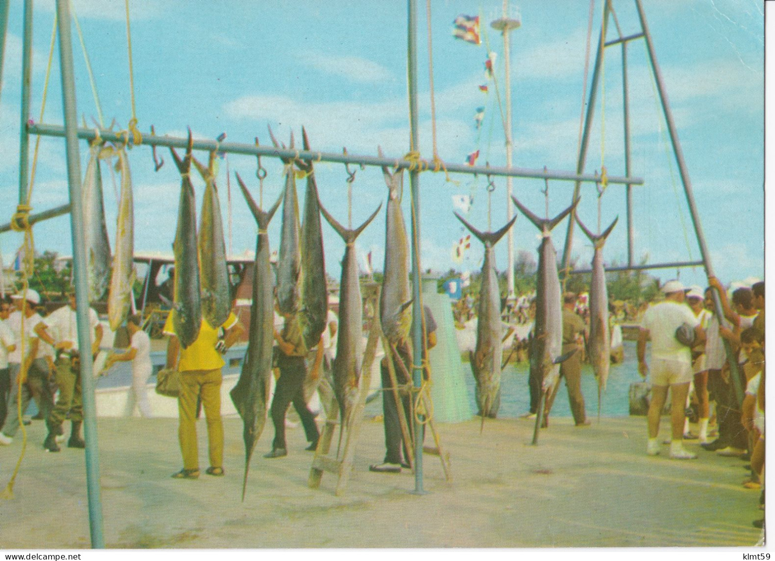 Havana - Torneo De Pesca "Hemingway" - Cuba