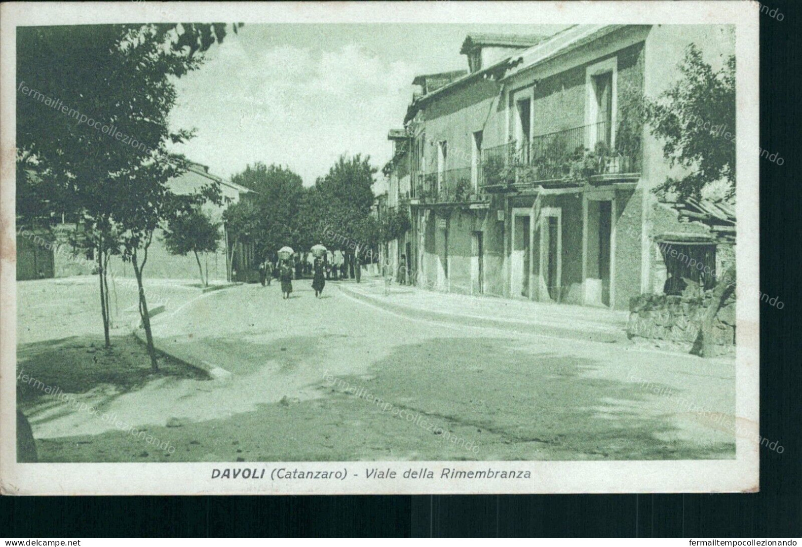 Cs106 Cartolina Davoli Viale Rimembranza Provincia Di Catanzaro 1939 - Catanzaro