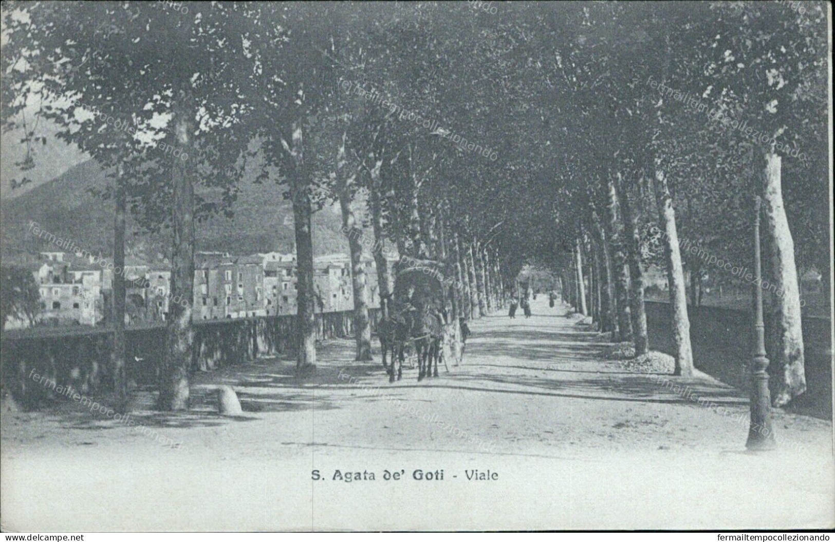 Cs121 Cartolina S.agata De Goti Viale Provincia Di Benevento 1908 Bella! - Benevento