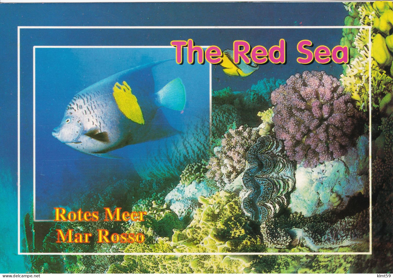 The Red Sea - Autres & Non Classés