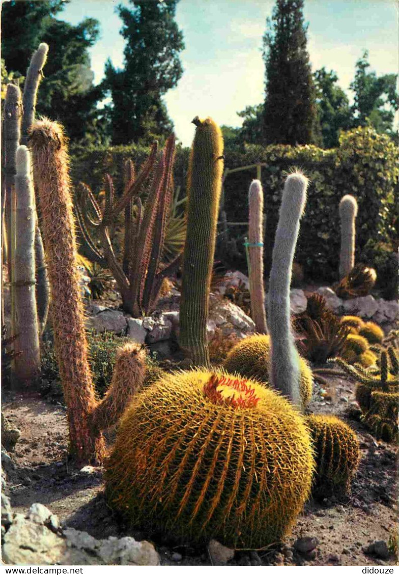 Fleurs - Plantes - Cactus - Eze Village - Le Jardin Exotique - CPM - Voir Scans Recto-Verso - Cactus