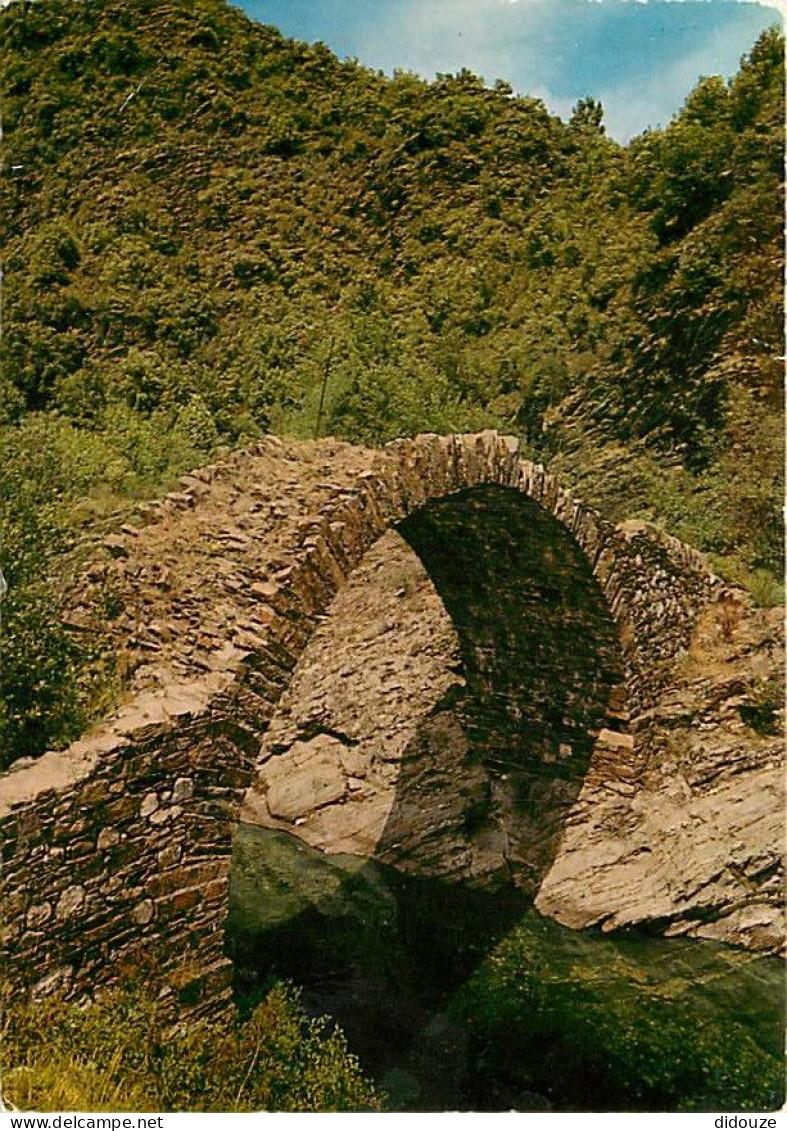 30 - Gard - Les Cévennes - Le Pont De Chèvres Sur Le Gardon à L'Estrechure Près Saint Jean Du Gard - Vieilles Pierres -  - Sonstige & Ohne Zuordnung