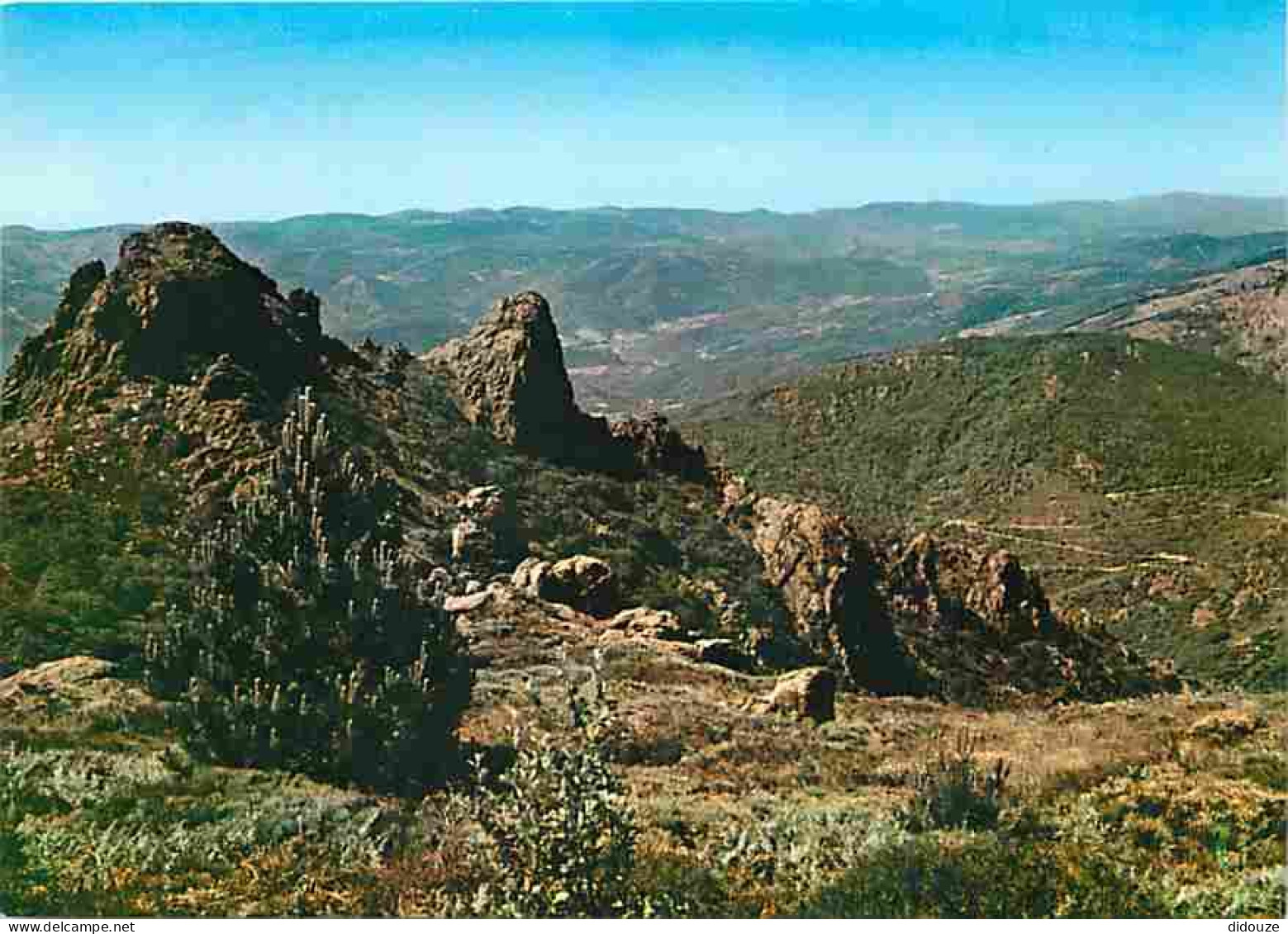 34 - Hérault - Parc National Du Caroux - Le Montahut (1054 M) - Carte Neuve - CPM - Voir Scans Recto-Verso - Autres & Non Classés