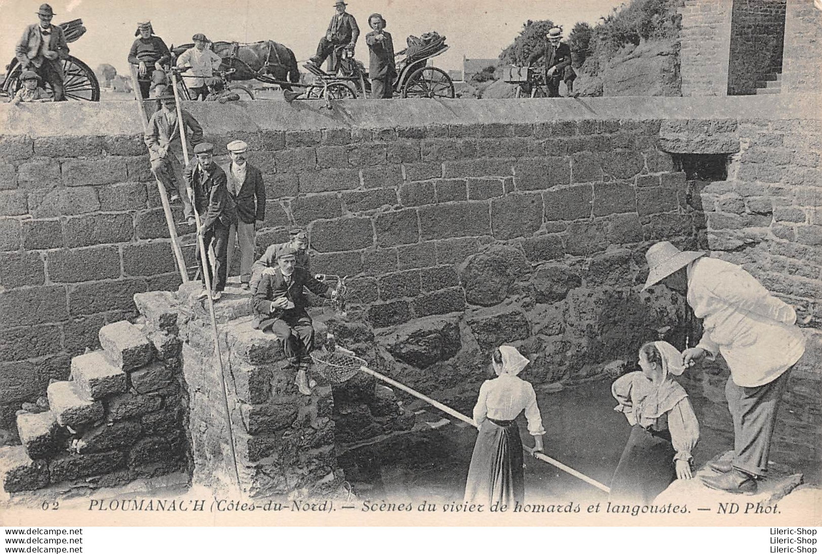 PLOUMANACH (22)  - Scène Du Vivier De Homards Et Langoustes - Éditions ND Cpa - Ploumanac'h