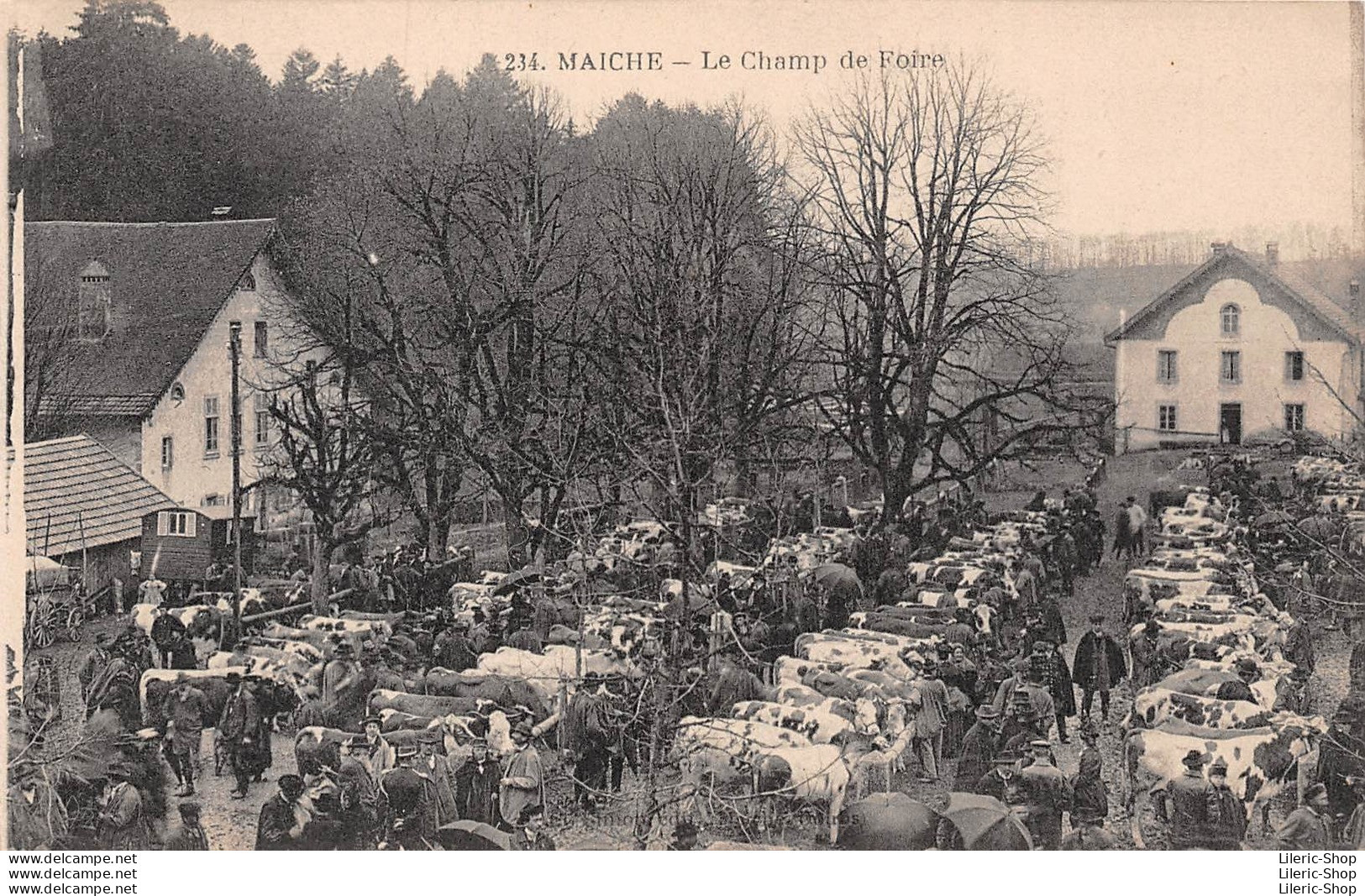 Métier- Maquignons Marché Aux Bestiaux Boeufs Champ De Foire à MAICHE (25 ) Cpa - Sonstige & Ohne Zuordnung