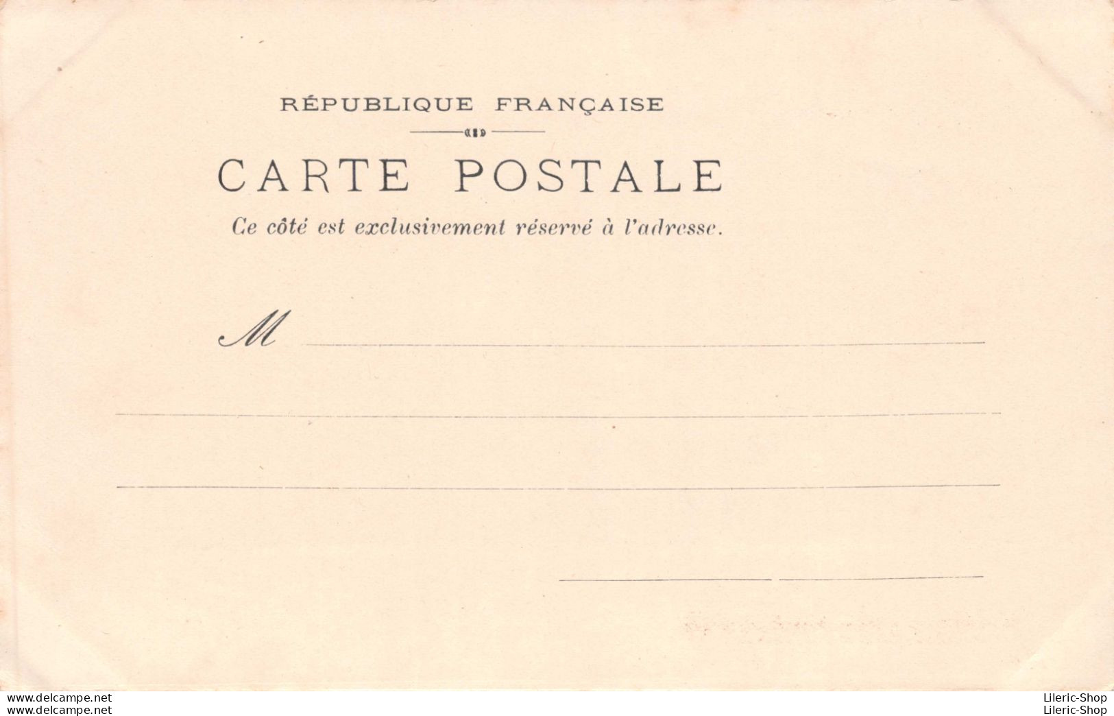 ART NOUVEAU - STYLE KIRCHNER - BELLE JEUNE FEMME - "LE POITOU" - CPR - 1900-1949