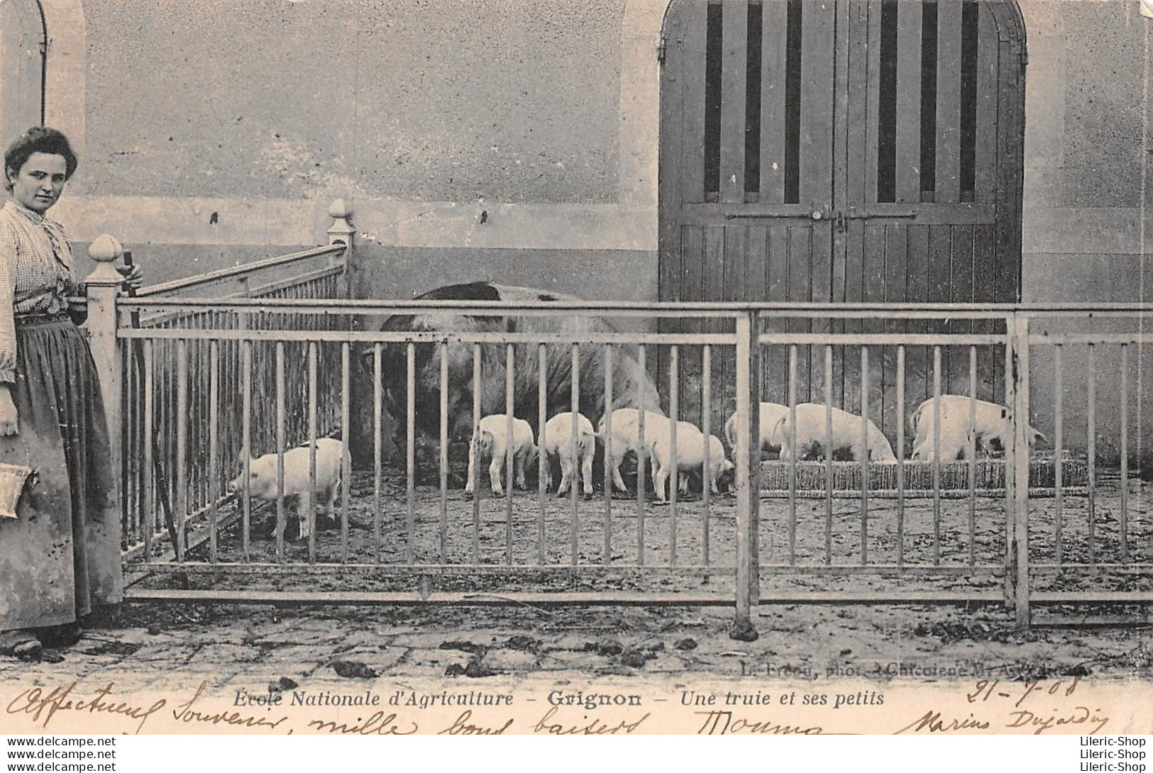 GRIGNON (78) -  Ecole Nationale D'Agriculture - Une Truie Et Ses Petits - ( L. Fréon Photographe) - CPA 1908 - Grignon