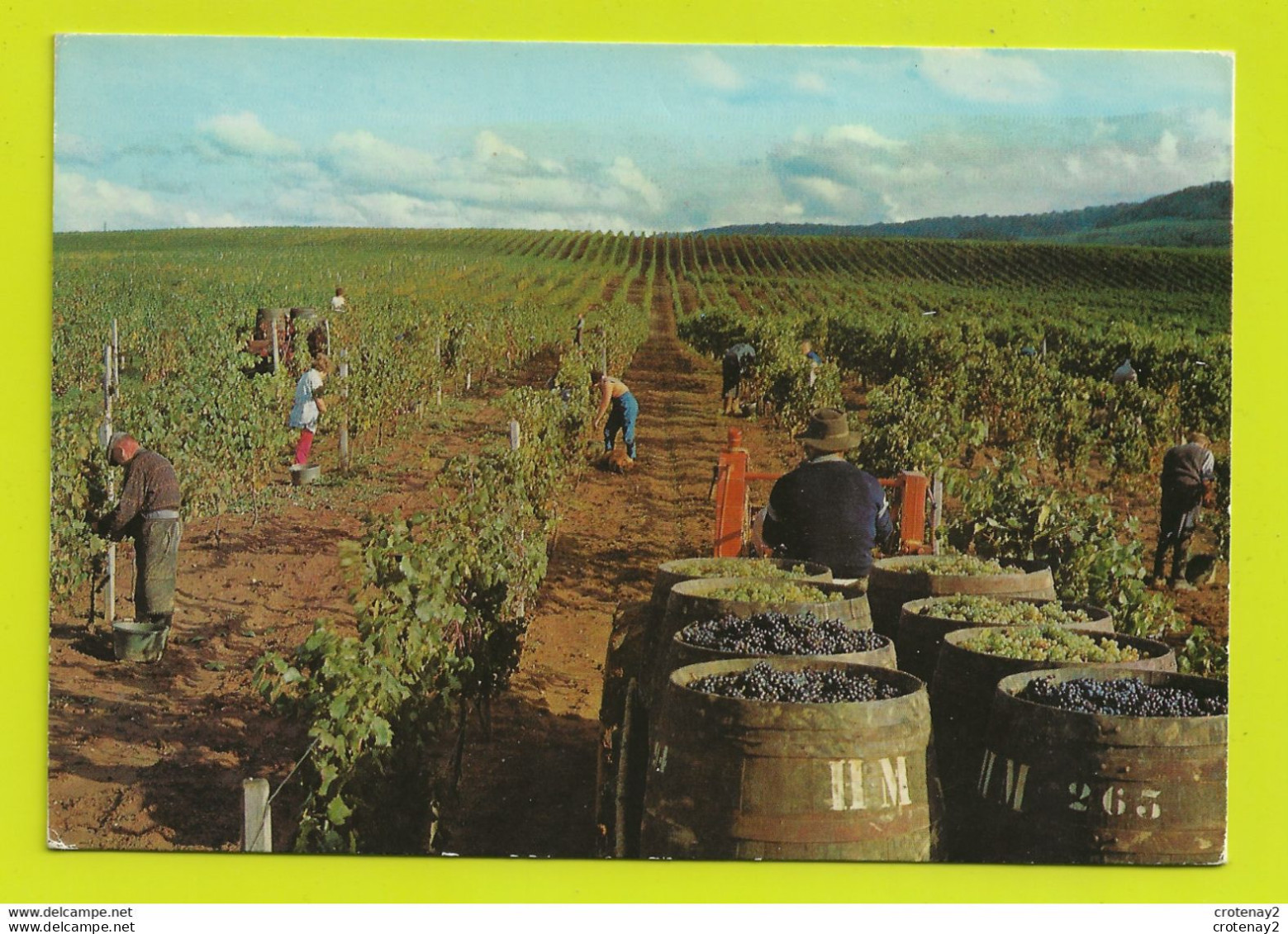 39 ARBOIS Domaine De Montfort Propriété Henri Maire Prix D'Honneur Touring-Club Vignes VIN Raisin Tonneaux Vendanges - Vignes