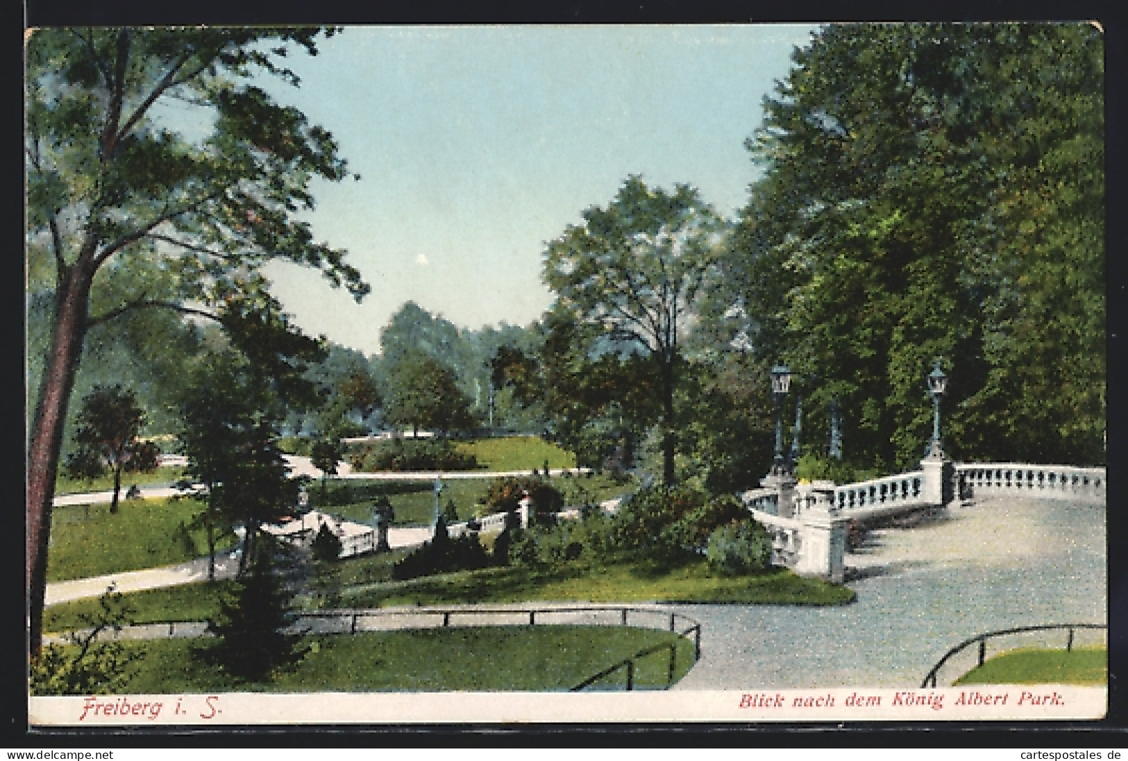 AK Freiberg I. S., Blick Nach Dem König Albert Park  - Freiberg (Sachsen)