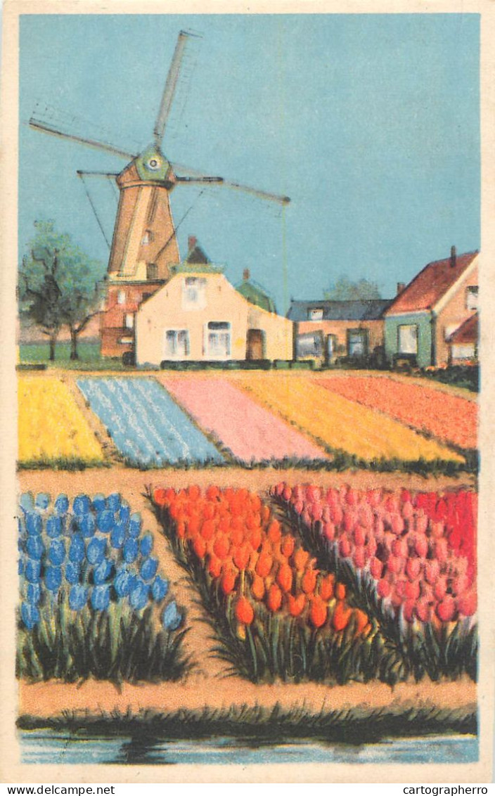 Postcard Netherlands Windmill Tulip Field Fantasy - Autres & Non Classés