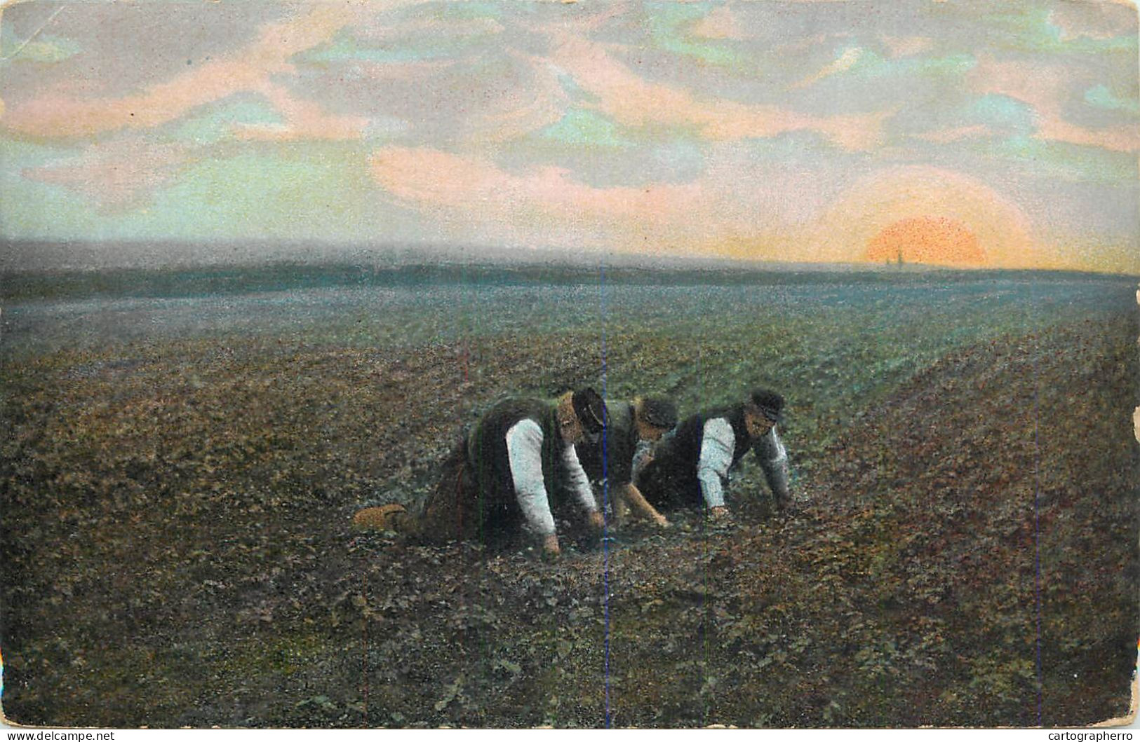 Postcard Netherlands Agriculture Scene - Autres & Non Classés