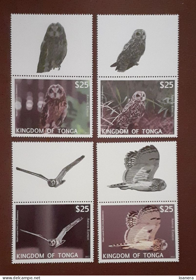 Tonga 2012 - Fauna , Birds , Owls , 4 Values With Vignettes ,  Perforated , MNH,Mi.1793-1796 - Tonga (1970-...)