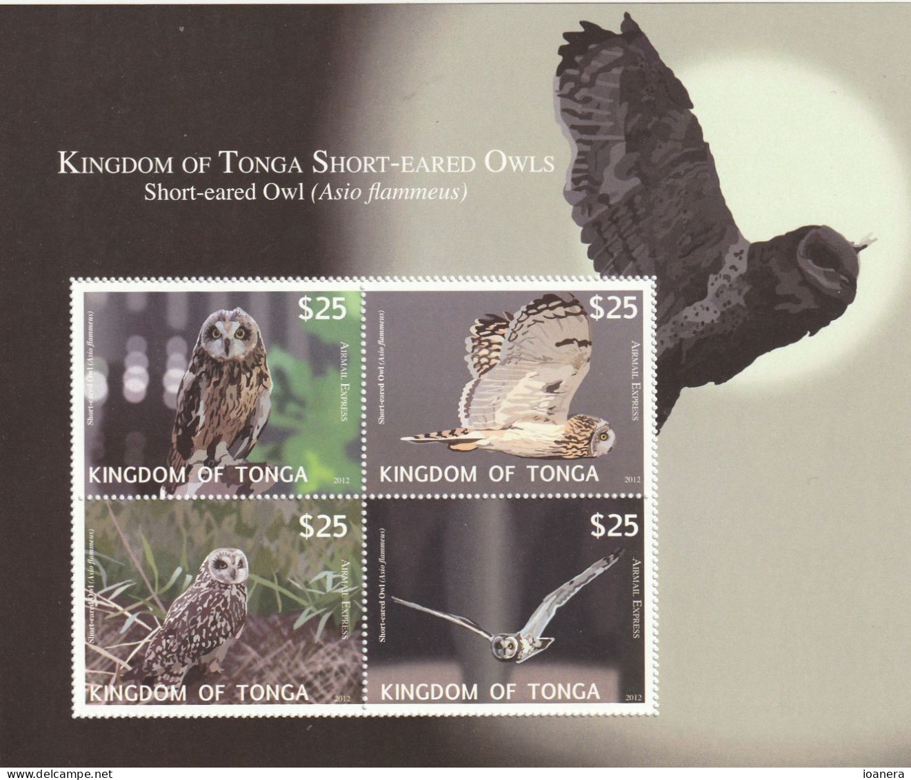 Tonga 2012 - Fauna , Birds , Owls , Block 4 Values , Perforated , MNH,Mi.Bl.57 - Tonga (1970-...)