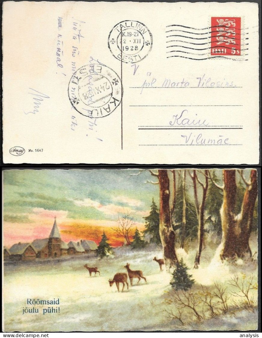 Estonia Kaiu Postmarked Postcard Mailed 1928 - Estonie