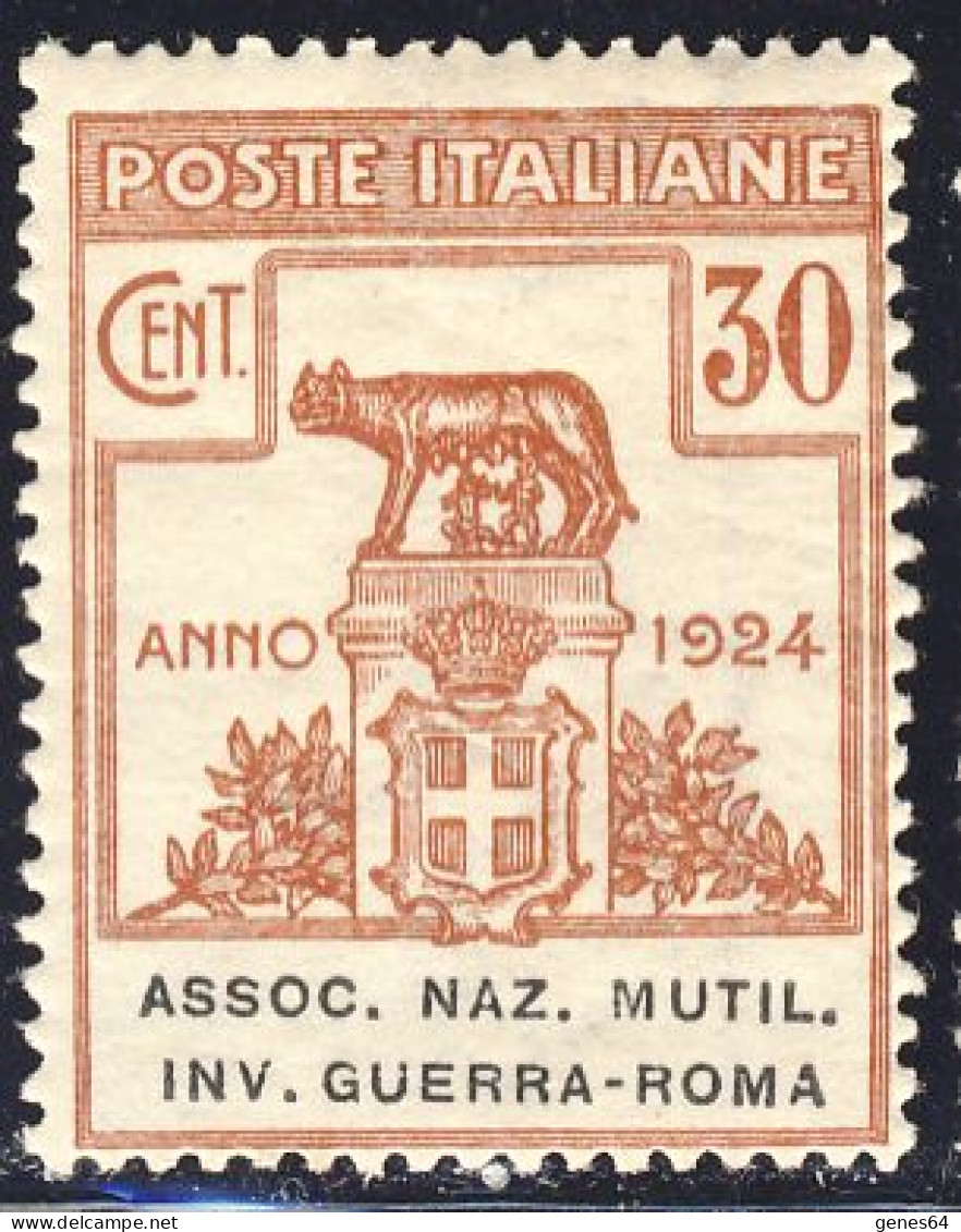 1924 - Enti Parastatali - Assoc. Naz. Mutil. Inv. Guerra-Roma - 30 C. Bruno Nuovo MNH (Sassone N.8) 2 Immagini - Franchise