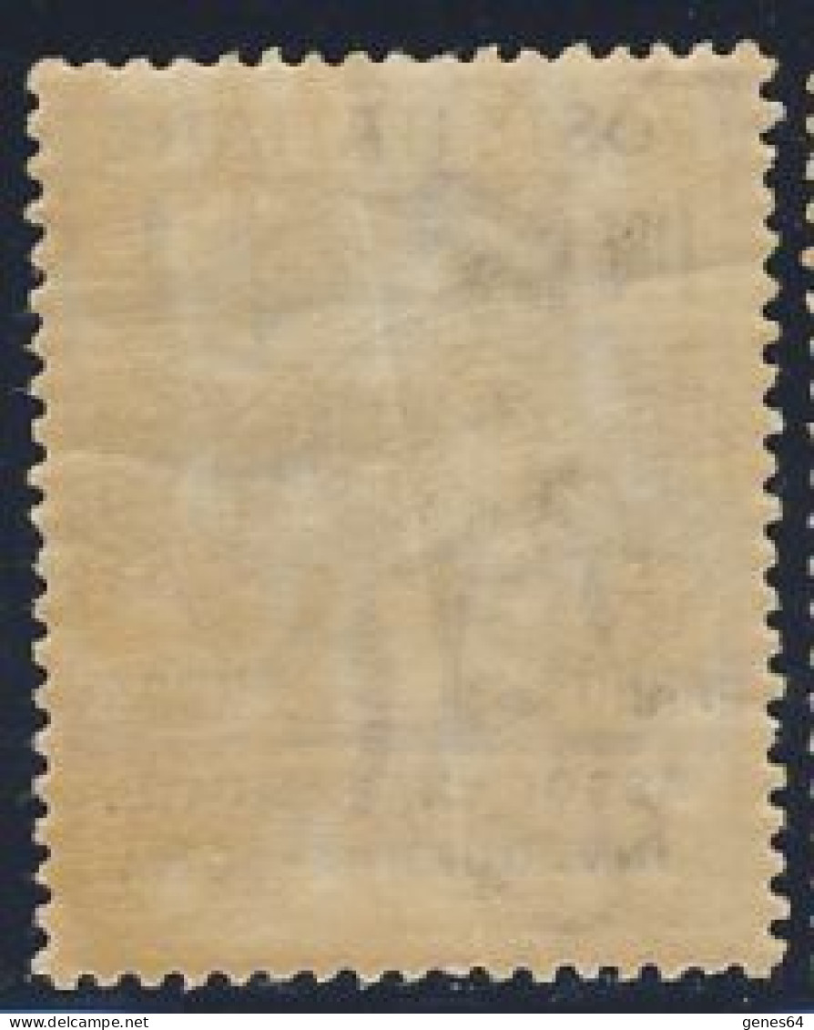 1924 - Enti Parastatali - Assoc. Naz. Mutil. Inv. Guerra-Roma - 1 Lira Azzurro Nuovo MNH (Sassone N.10) 2 Immagini - Franchise