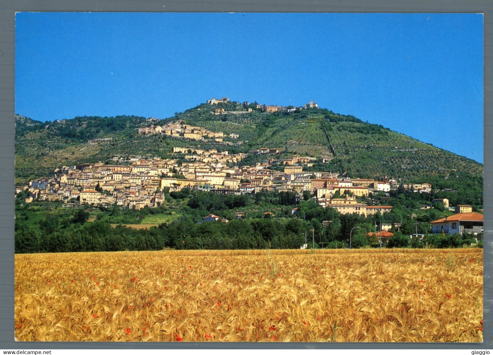 °°° Cartolina - Alvito Veduta Panoramica - Nuova °°° - Frosinone