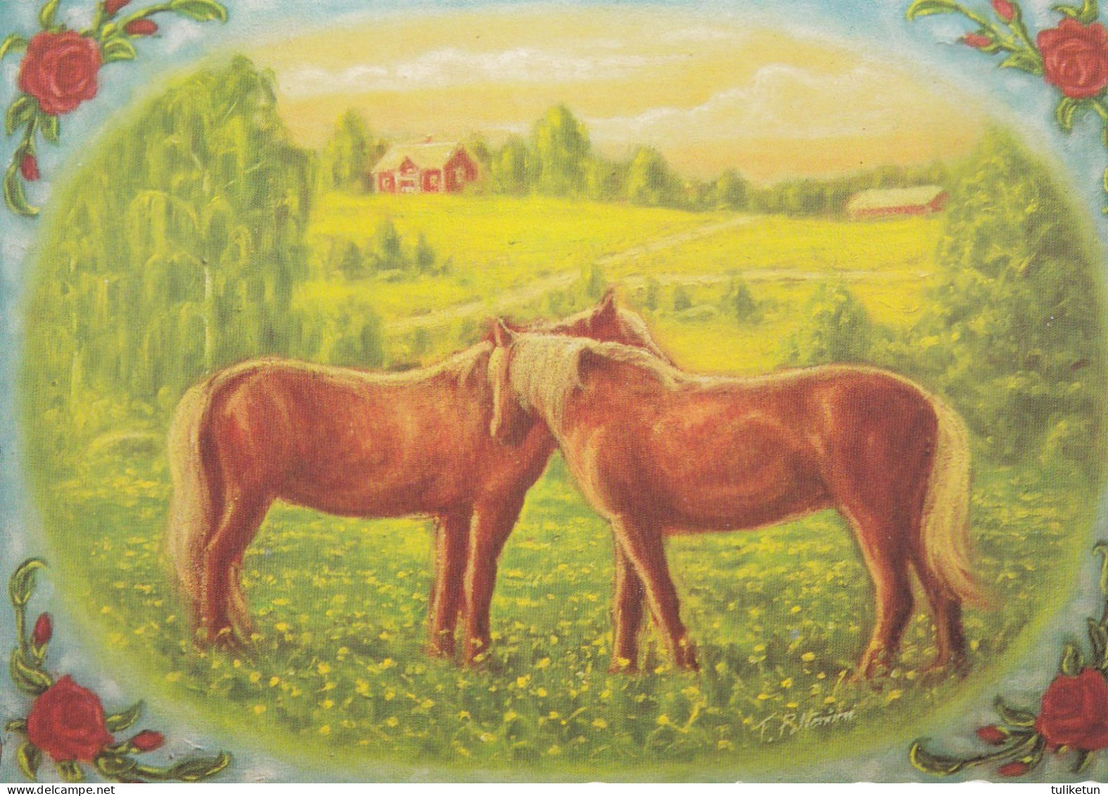 Horse - Cheval - Paard - Pferd - Cavallo - Cavalo - Caballo - Häst - Karto - Terho Peltoniemi - Paarden