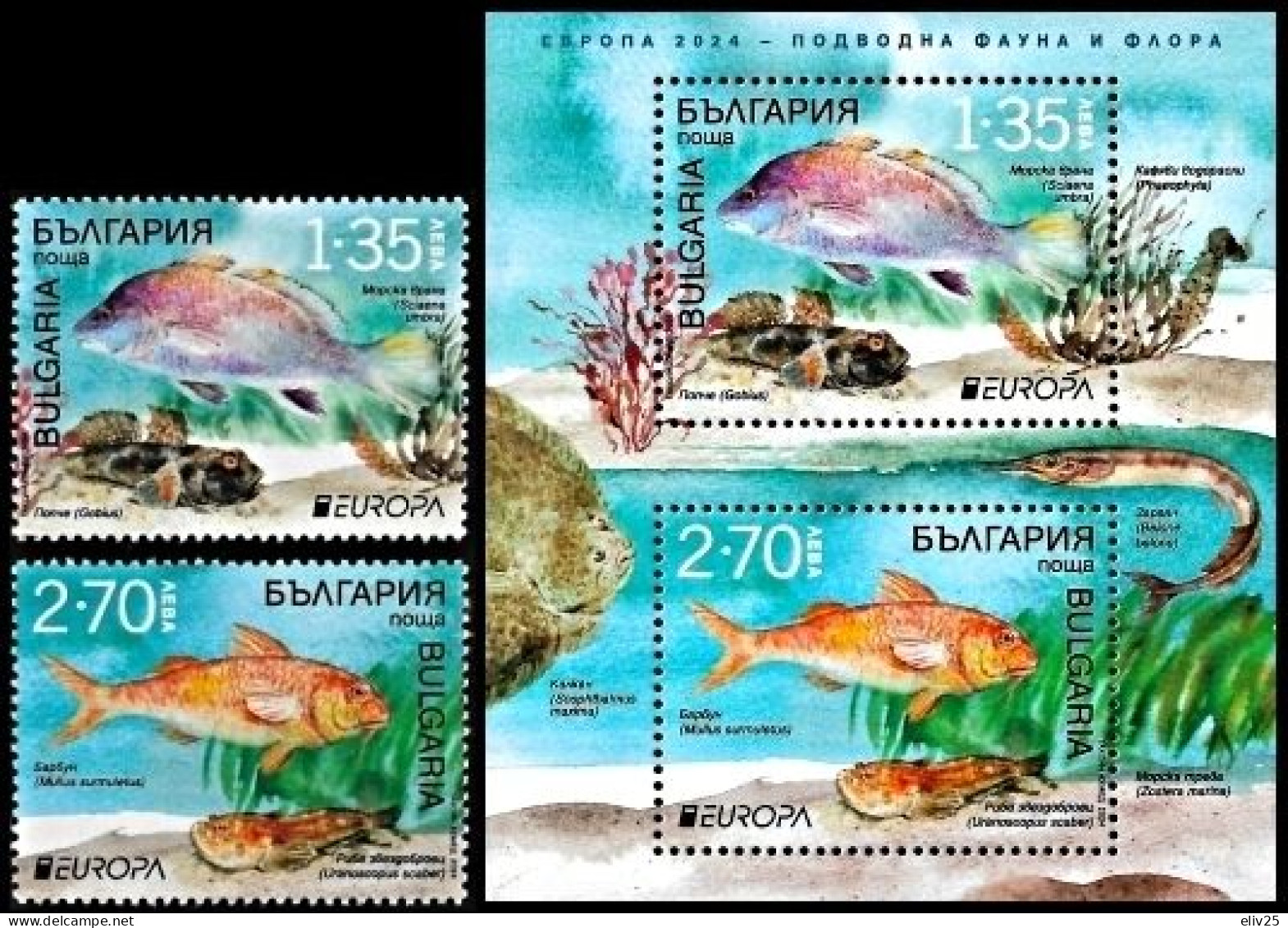 Bulgaria 2024, Europa CEPT - 2 V. & S/s - 2024