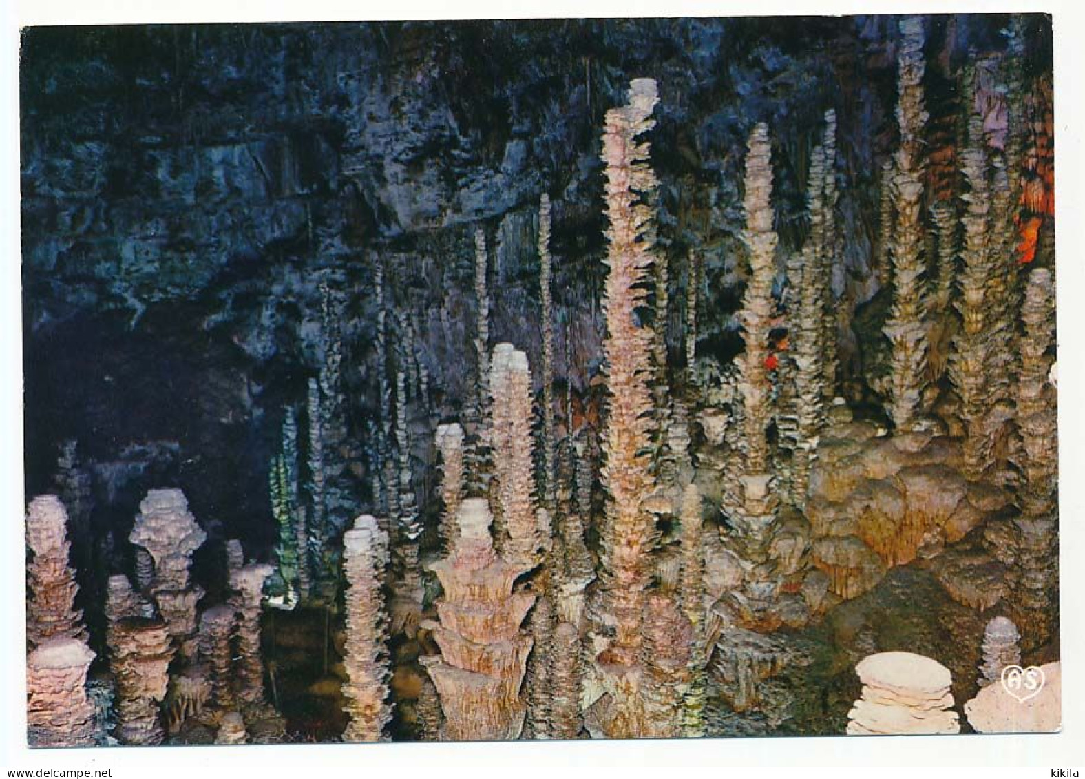 CPSM / CPM 10.5 X 15 Lozère Grottes De L' AVEN ARMAND Groupe De Stalagmites Dans La Forêt Vierge - Andere & Zonder Classificatie