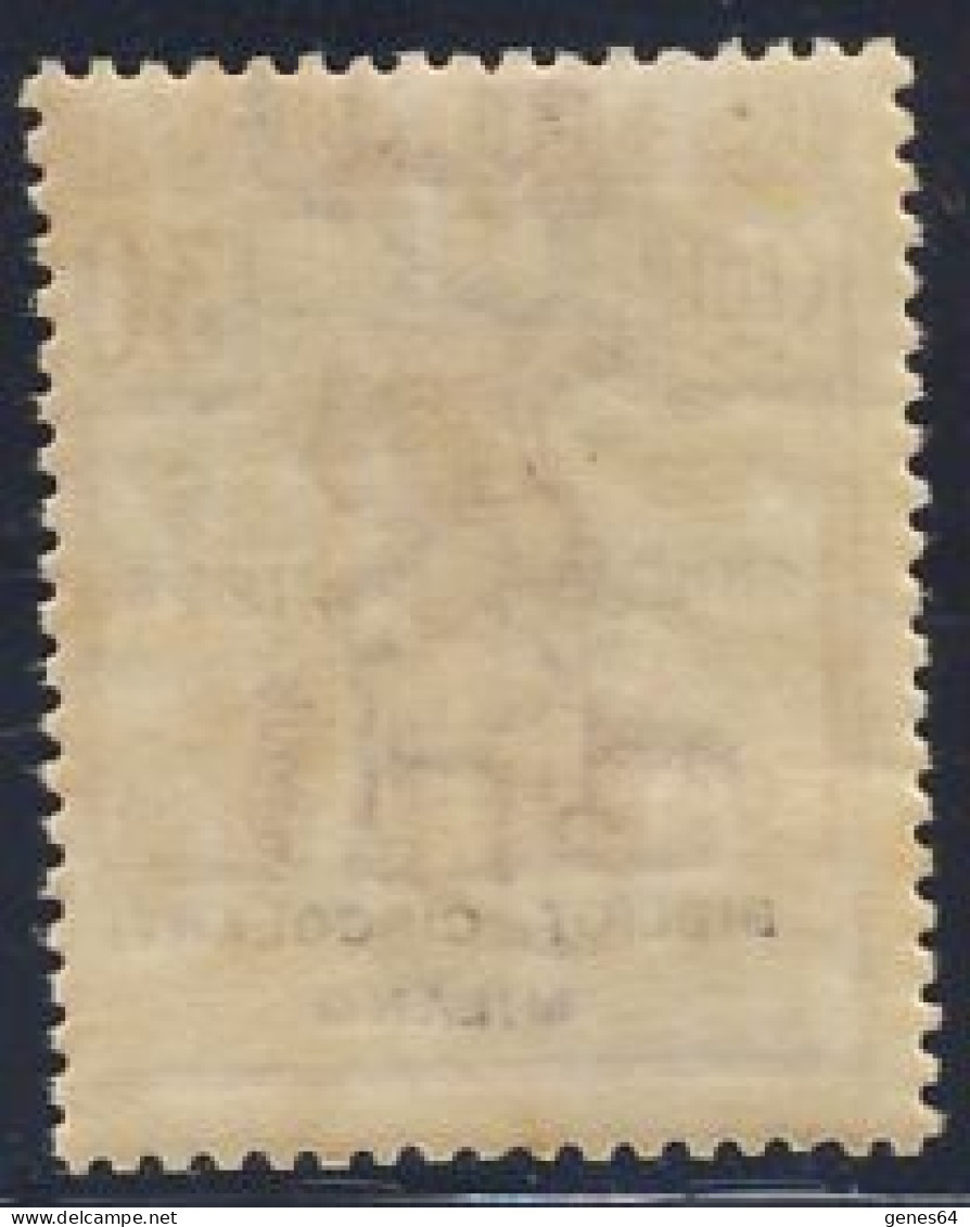 1924 - Enti Parastatali - Bibliot. Circolanti Milano - 30 C. Bruno Nuovo MNH (Sassone N.15) 2 Immagini - Franquicia