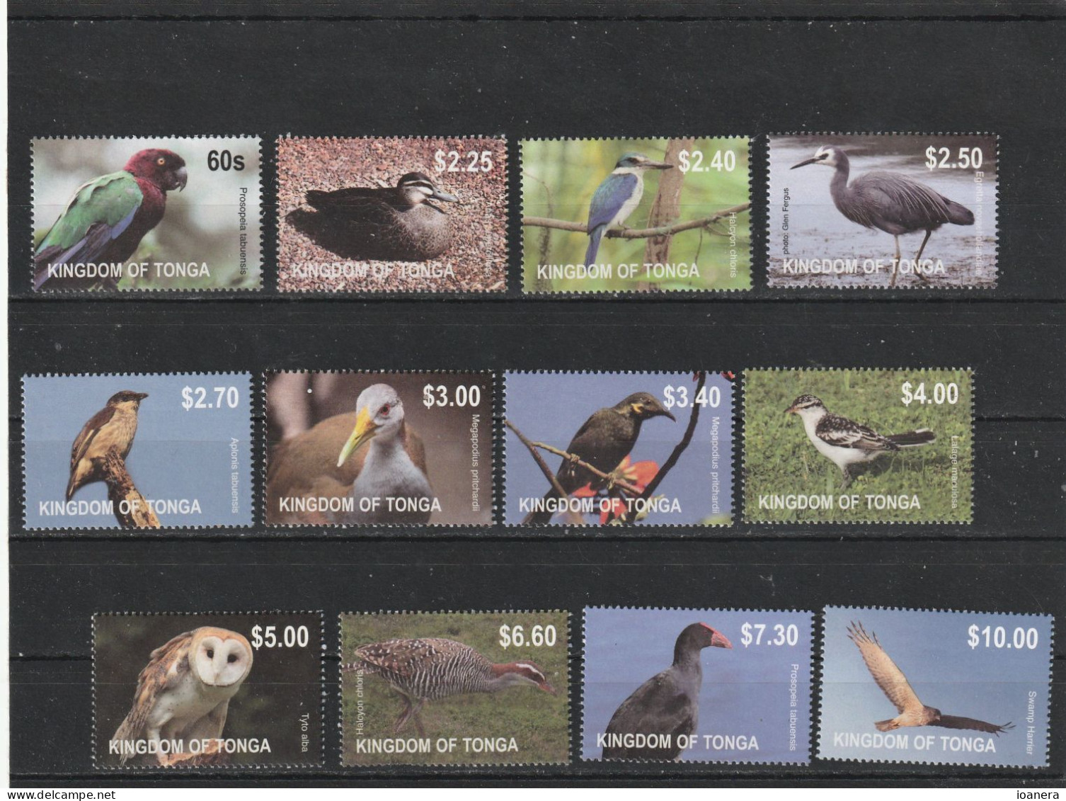 Tonga 2012 - Fauna , Birds , Complete Series 12 Values , Perforated , MNH , Mi.1742-1753 - Tonga (1970-...)