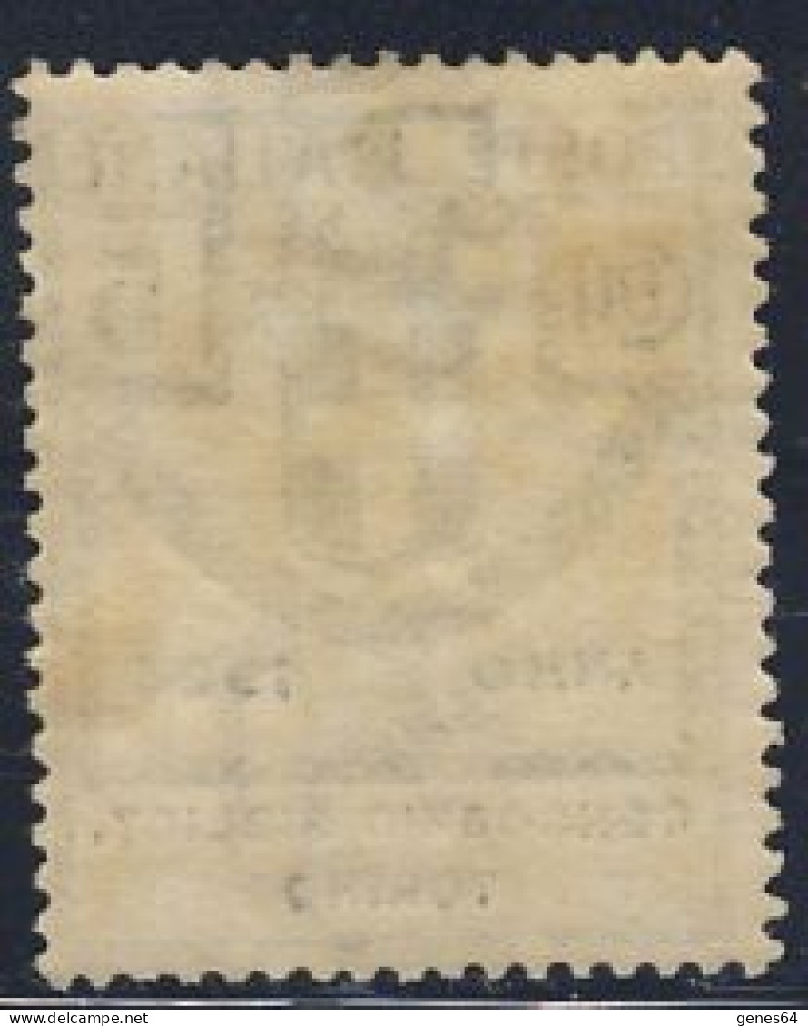 1924 - Enti Parastatali - Consorzio Bibliot. Torino - 5 C. Verde Nuovo MNH (Sassone N.30) 2 Immagini - Franquicia