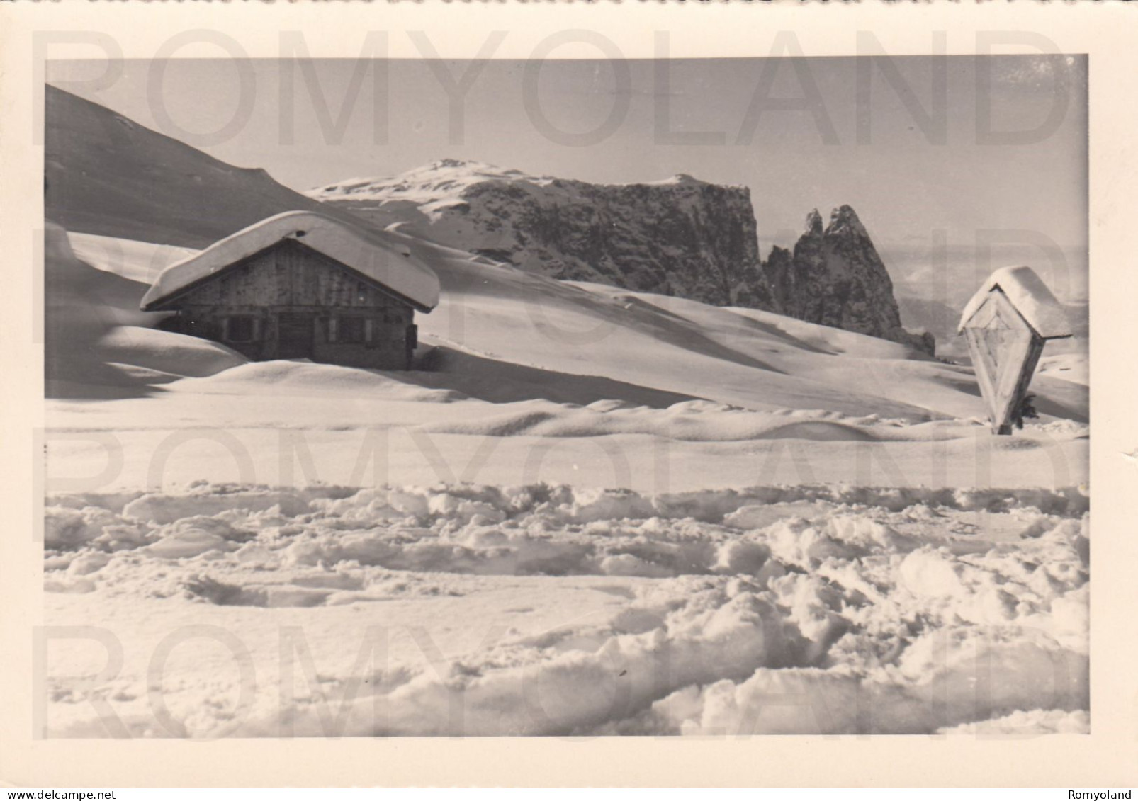 CARTOLINA  C15 ALPE DI SIUSI,BOLZANO,TRENTINO ALTO ADIGE-LO SCILIAR M.2565-MONTAGNA,VACANZA,BELLA ITALIA,NON VIAGGIATA - Bolzano (Bozen)