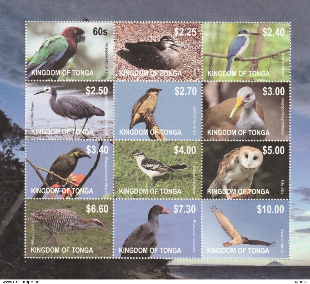 Tonga 2012 - Fauna , Birds , Block 12 Values , Perforated , MNH , Mi.1742-1753 KB - Tonga (1970-...)