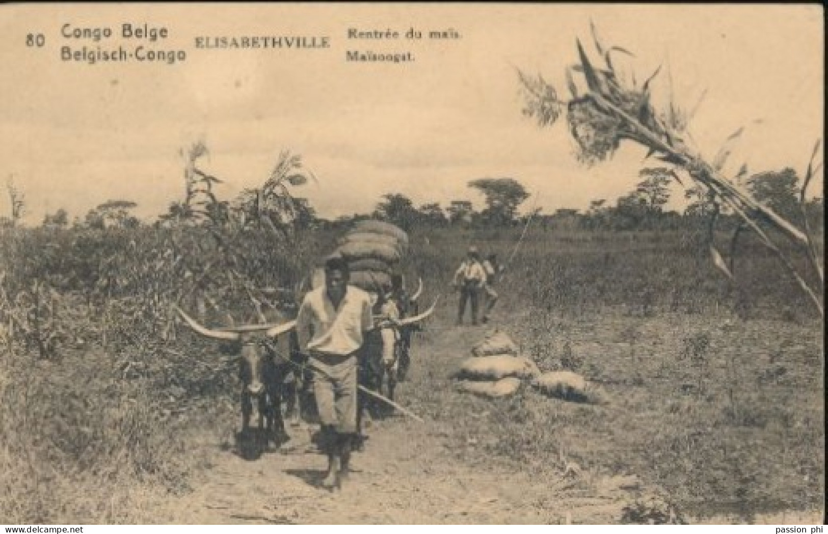 ZAC BELGIAN CONGO  PPS SBEP 62 VIEW 80 USED - Entiers Postaux