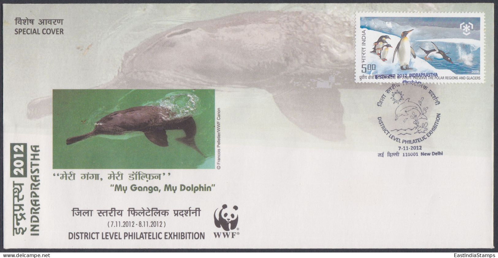Inde India 2012 Special Cover Gangetic Dolphin, River Ganga, Marine Life, WWF, Panda, Pictorial Postmark - Covers & Documents