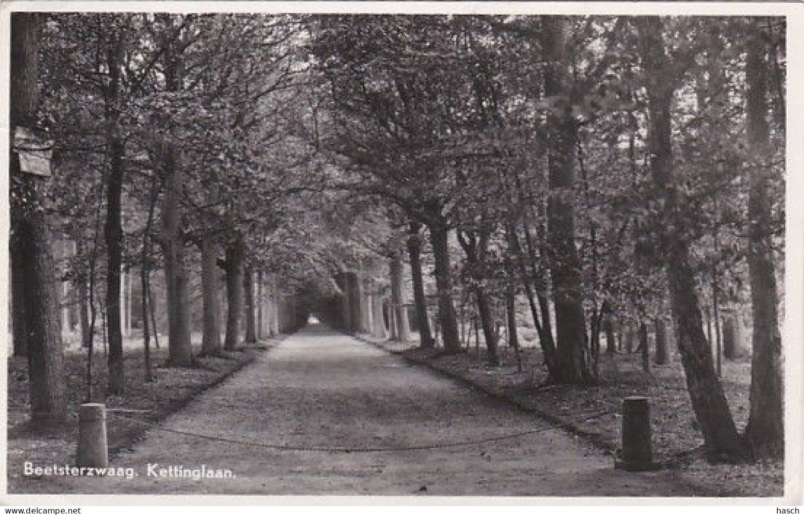 4850a147Beetsterzwaag, Kettinglaan. (Kleine Vouwen In De Hoeken)  - Sonstige & Ohne Zuordnung