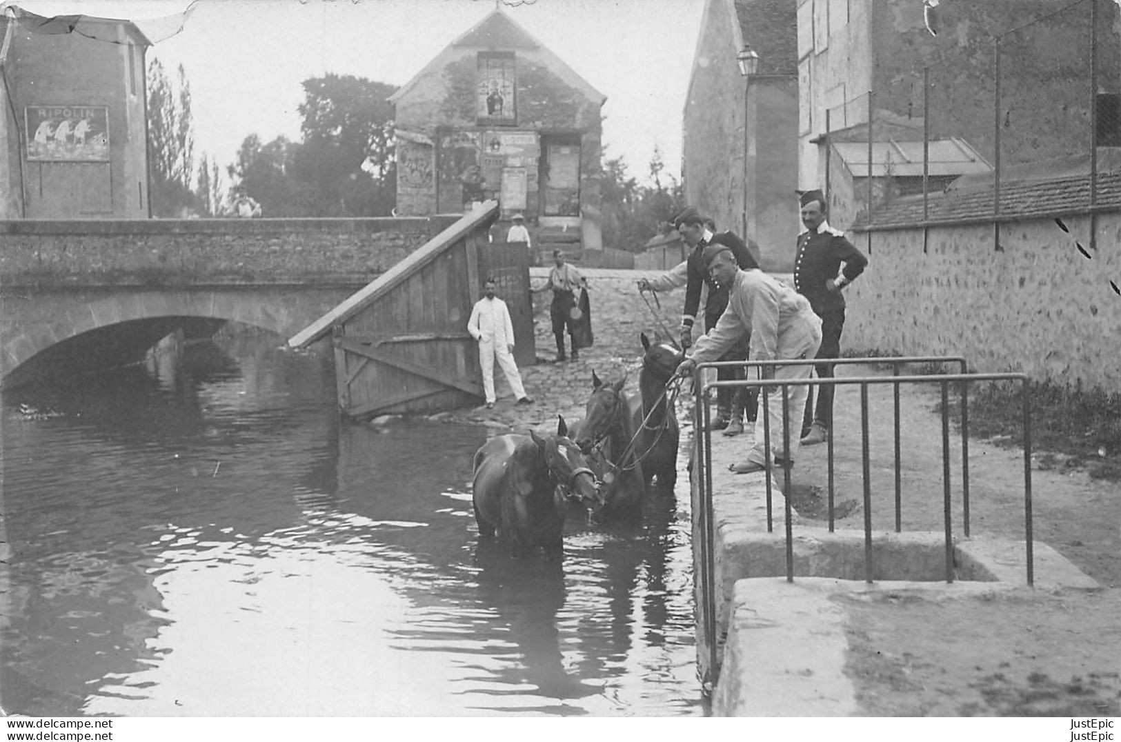 EPERNON (77) -  7ème Dragons - Les Chevaux à L'abreuvoir à Proximité Du Grand Pont Carte-Photo - Epernon