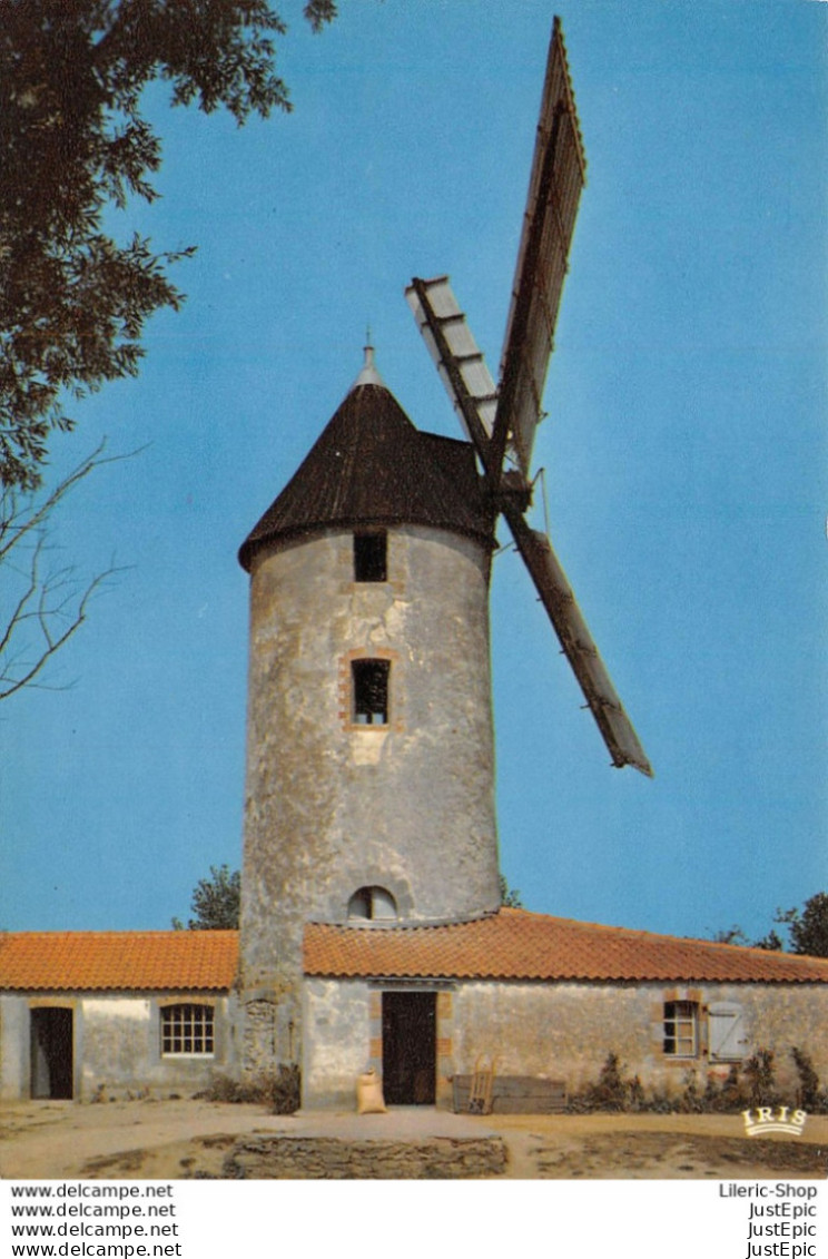 [85] Vendée > Près De SALLERTAINE - Le Moulin De RAIRÉ Toujours En Activité - Autres & Non Classés