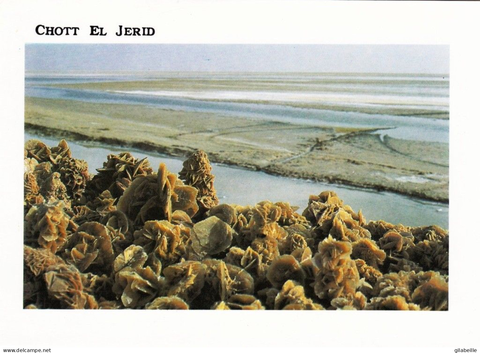 Tunisie - CHOTT EL JERID - Roses De Sable Sur Le Cott El Jerid - Tunesien