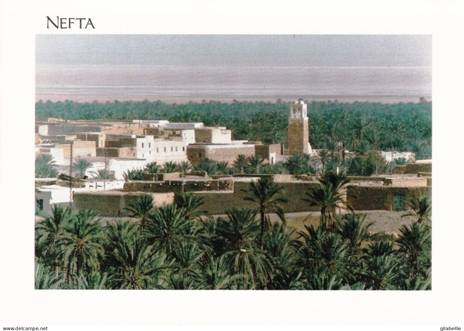 Tunisie - NEFTA - Corbeille De Nefta - Tunisie