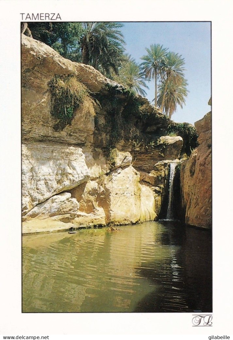 Tunisie - TAMERZA - Une Oasis De Montagne -  La Cascade - Tunesië