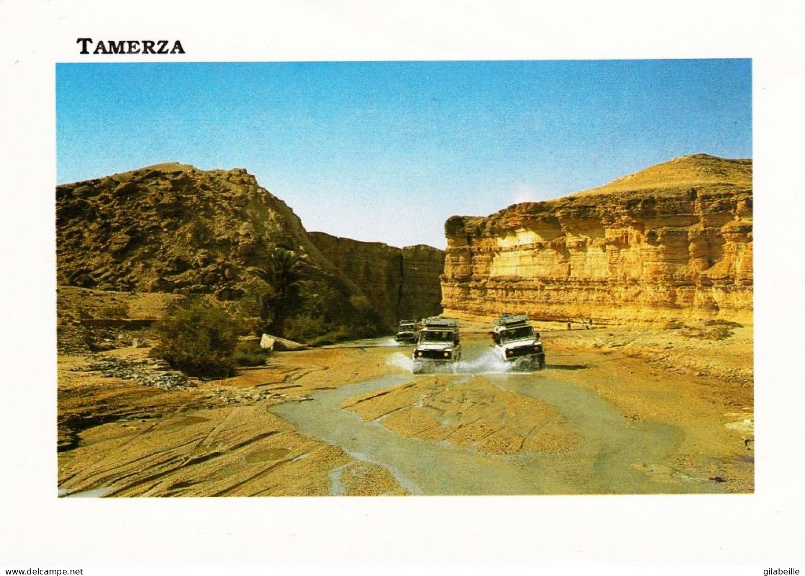 Tunisie - TAMERZA - Canyon De Tamerza - Tunisie