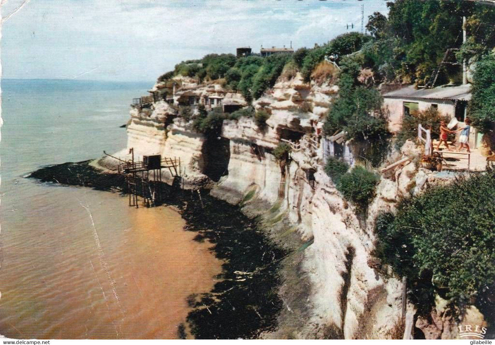 17 - Charente Maritime -  MESCHERS - Les Grottes Et Falaises - Meschers