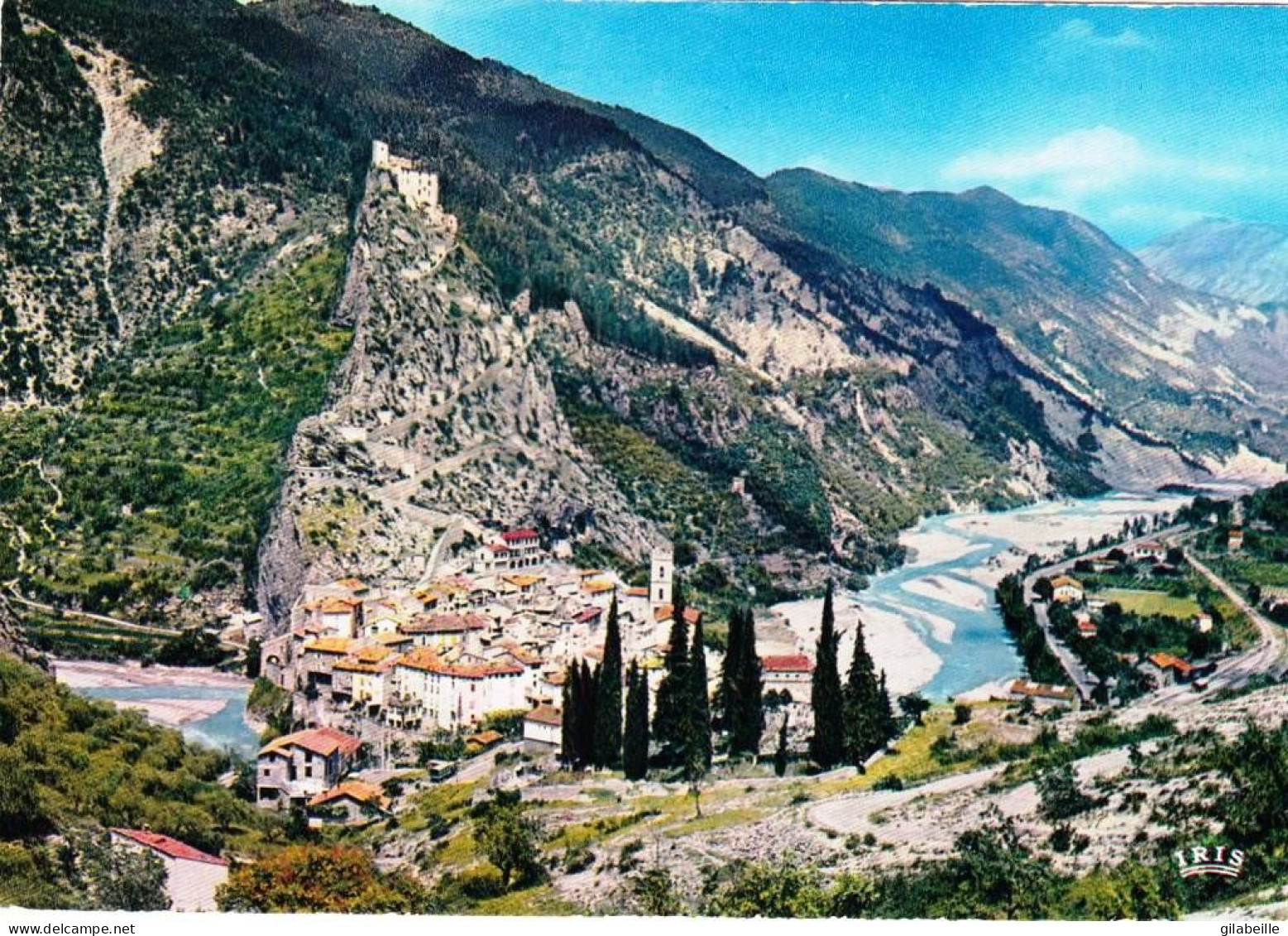 04 - Alpes De Haute Provence -  ENTREVAUX -  Vue Generale Et Le Var - Other & Unclassified