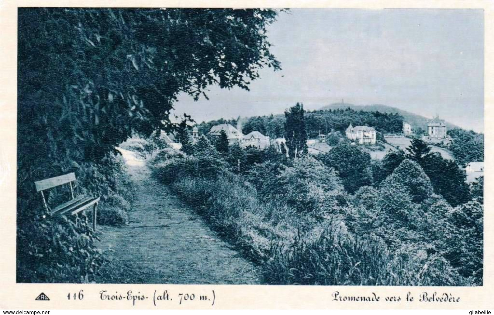 68 - Haut Rhin -  TROIS EPIS - Promenade Vers Le Belvedere - Trois-Epis