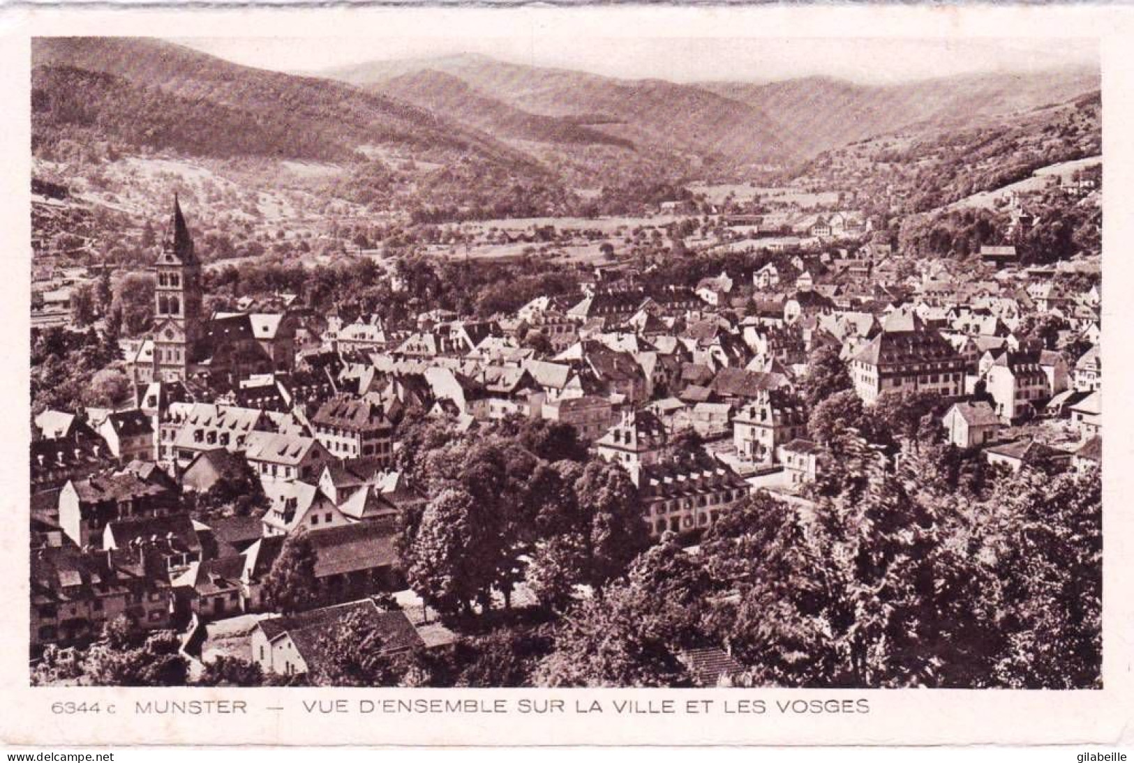 68 - Haut Rhin -  MUNSTER -  Vue D Ensemble Sur La Ville Et Les Vosges - Munster