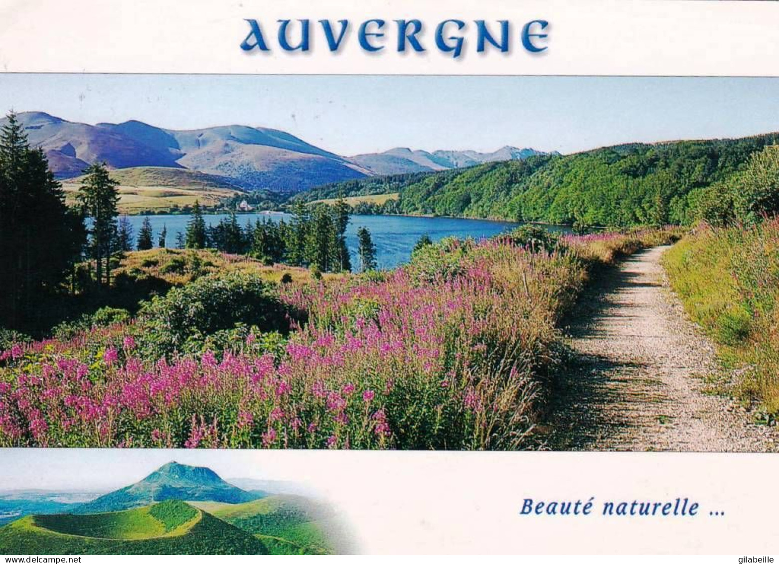 63 - Puy De Dome - Le Lac De GUERY - Other & Unclassified