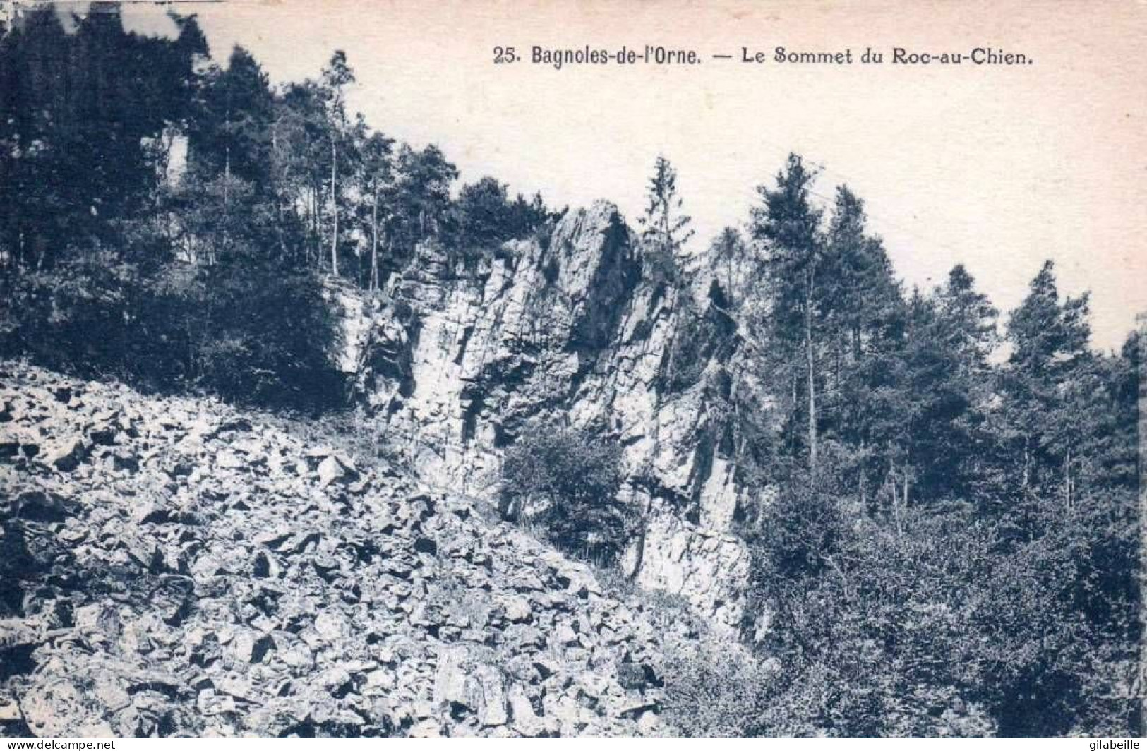 61 - Orne -  BAGNOLES De L ORNE - Le Sommet Du Roc Au Chien - Bagnoles De L'Orne