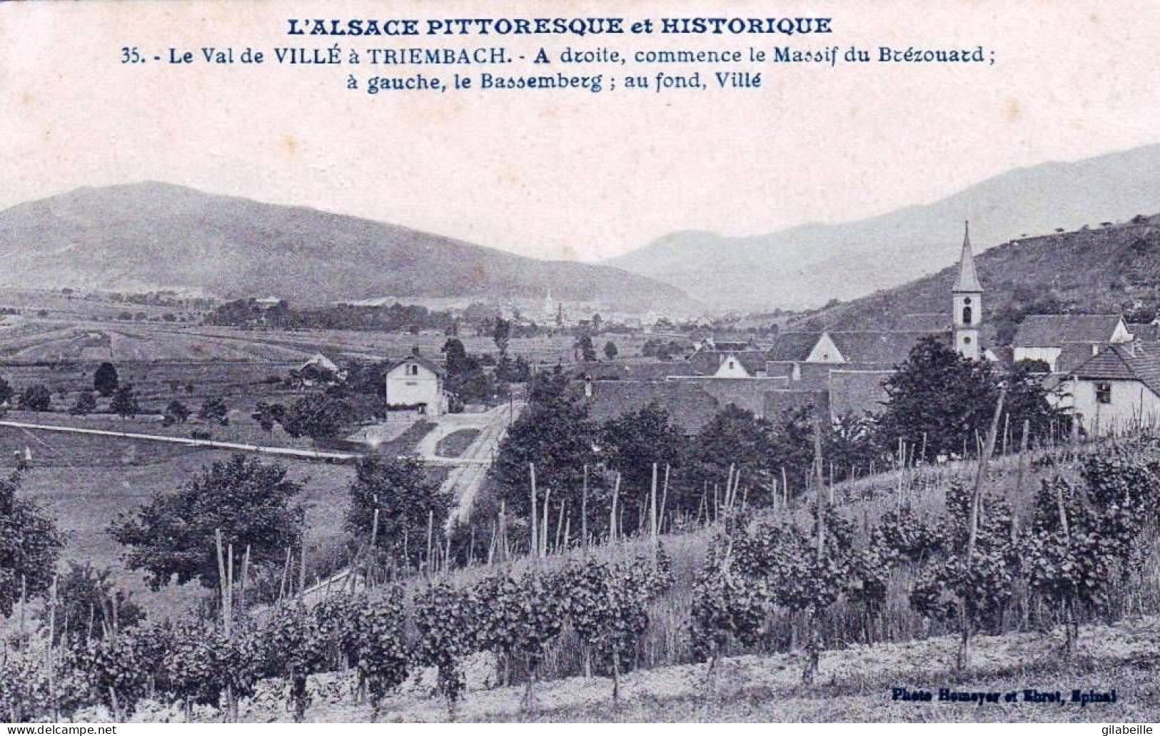 67 - Bas Rhin - Le Val De Villé à TRIEMBACH  -  Massif Du Brézouard Le Bassemberg Et Villé - Autres & Non Classés