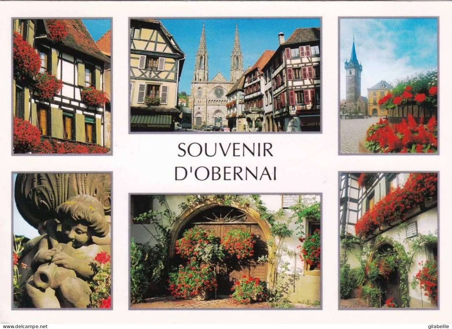 67 - Bas Rhin - OBERNAI - Multivues - Obernai