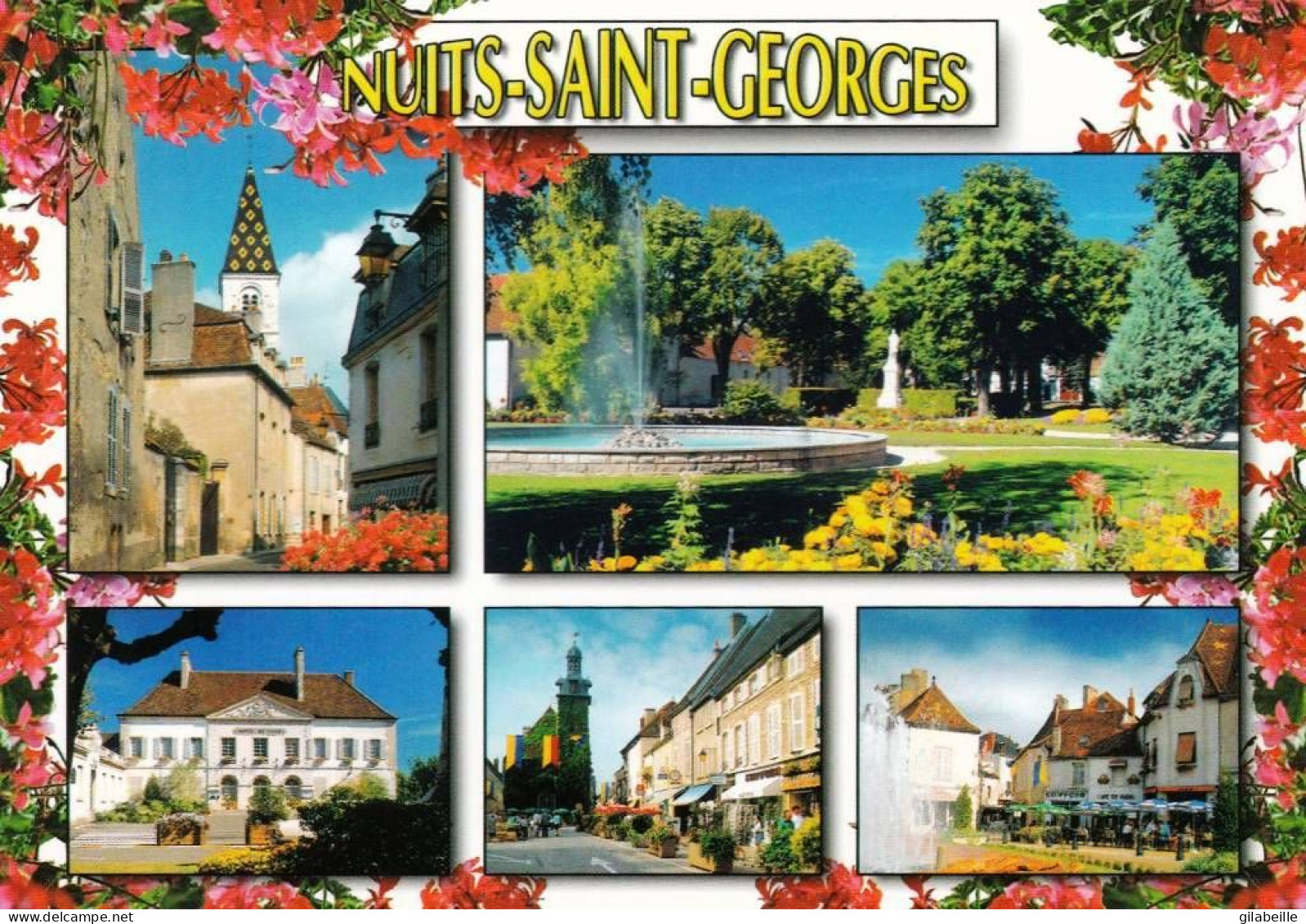 21 - Cote D Or -  NUITS SAINT GEORGES - Multivues - Nuits Saint Georges