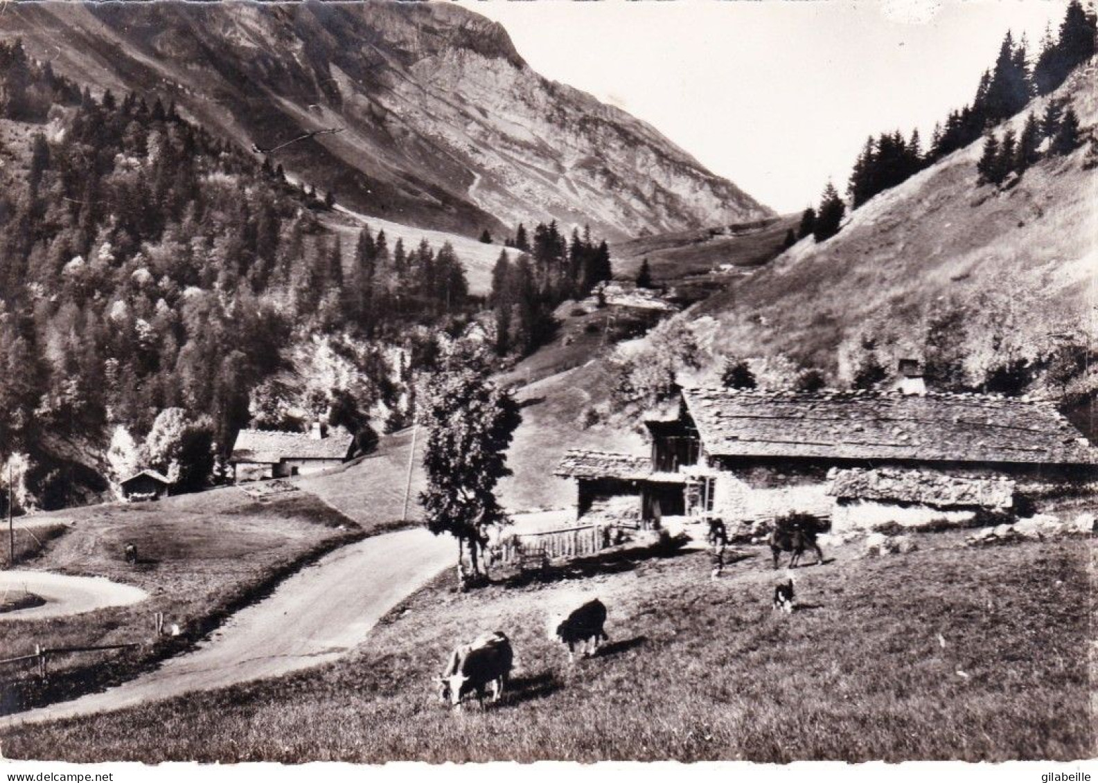 74 - Haute Savoie -  La Route Du Col Des Aravis Entre Le Col Et La GIETTAZ - Autres & Non Classés
